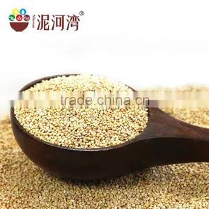 White Broomcore Millet With Reasonable Price 2016 Crop thumbnail-2