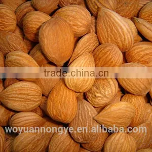 Almonds thumbnail-1