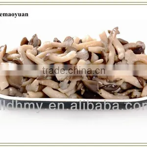 Good Quality Brined Shimeji Mushroom in Drum thumbnail-1