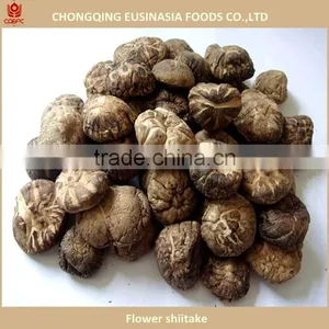 Dried Flower Mushroom, China Shiitake Mushroom thumbnail-3
