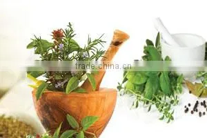 Herbal Extracts thumbnail-2