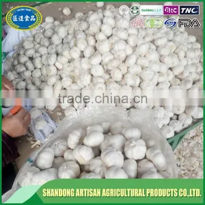 Fresh Normal White Garlic Pure White Garlic China Supplier thumbnail-5