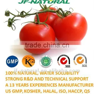 Tomato Puree Fruit Powder ISO, GMP, HACCP, KOSHER, HALAL Certificated. thumbnail-1