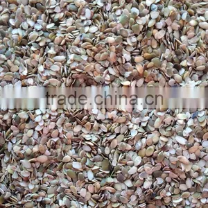 Broken Shine Skin Pumpkin Seeds Pirce thumbnail-5