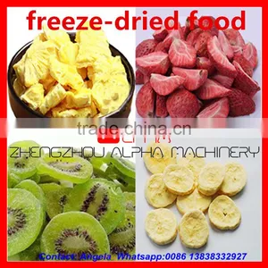 High Efficiency Freeze Dryer Price/Food Freeze Dryer Price/Fruit Drying Machine thumbnail-5