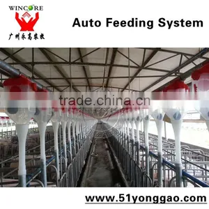 Auto Feeding System for Pig Farm thumbnail-2