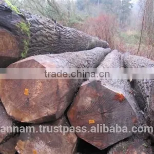 Pyincado Timber Flooring Timber thumbnail-4