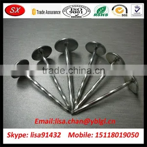 OEM/ODM Stainless Steel Roofing Nail With Umbrella Head thumbnail-2