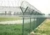 High Quality and Low Price 50m-300m Two Strand Double Twist Spiral Galvanized Barbed thumbnail-1