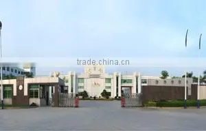 Jieyang Chuangda Clock Appliances Co., Ltd. company overview - view 1 thumbnail