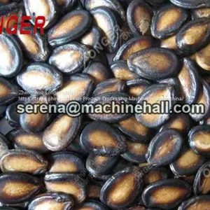 Sunflower Seeds Roasting Machine Line|Melon Seed Baking Machine thumbnail-3