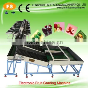 CE Approved Electronic Weight Grading Machine for Pears thumbnail-1