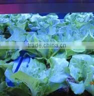 MarsHydro Waterproof ETL Certificated Led 60 Cm/120 cm Grow Bar thumbnail-5