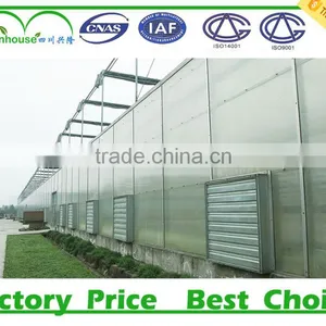 China Supplier Invernadero Agriculture Greenhouse thumbnail-2