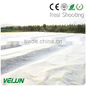 Polypropylene Woven Fabric 100% PP Nonwoven Fabric Fruit Bag thumbnail-3
