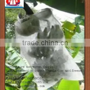 100% PP Spunbonded Non Woven Fabric Used for Agriculture Plant Cover or to Prevent the Weed and so on thumbnail-3