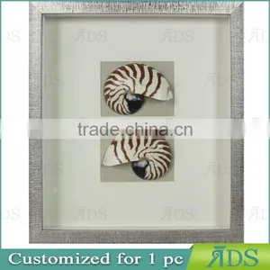Chinese Nautilus Shells Graphic Art Shadow Box Gift Ideas Wall Decor thumbnail-2
