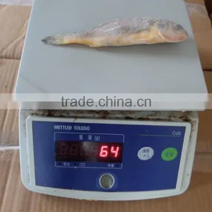 Frozen Fish Seafood Little Yellow Croaker thumbnail-2