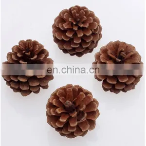 Natural Pine Cones for Decoration Christmas Tree Pendant Pine Cones Snow Color Pine Cones 6 Pcs thumbnail-1