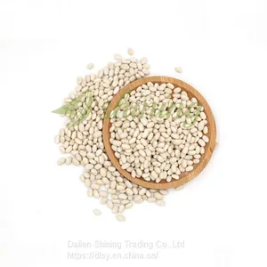 Japanese Type Dried White Kidney Bean thumbnail-1