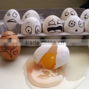 Hatching Eggs thumbnail-1