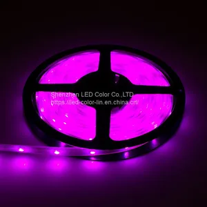 Factory Direct Sale High Quality Waterproof Led Digital Strip Light thumbnail-3