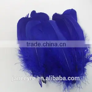 Wholesale Colorful Rooster Feather FH5014 thumbnail-6