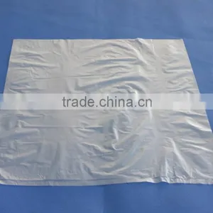 PLA, Compostable Plastic Bag, Flat Bag thumbnail-2