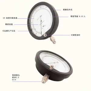 250MM 1.6Mpa 0.1FS Precision Precision Pressure Gauge thumbnail-4