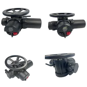 DZW 360 Degree Flow Control Gate Valve Electric Actuator thumbnail-1