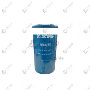 Filter Element 860126527 for XCMG Crane Genuine OEM thumbnail-4