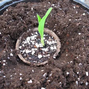 Jiffy Pot Paper Planter Pulp Nursery Cup thumbnail-3