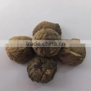 Market Prices for Mushroom thumbnail-2