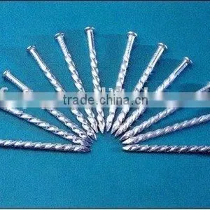 Galvanized Twisted Shank Nails Factory thumbnail-1