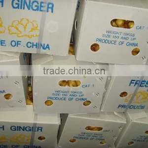 2015 Good Price of the Ginger From Shandong thumbnail-6