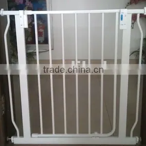Pet Products thumbnail-1