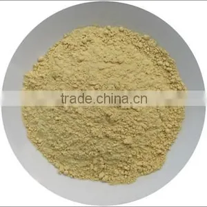 Ginger Powder thumbnail-1