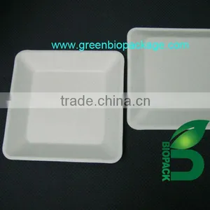 Biodegradable Disposable Sugarcane Pulp Square Plate thumbnail-1