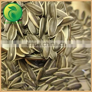 Sunflower Seeds Sunflower Meal thumbnail-2