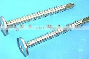 Round Washer Head Screw thumbnail-1