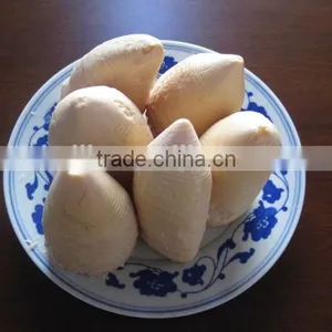 Tinned Bamboo Shoots in Whole Size 2950gram thumbnail-3