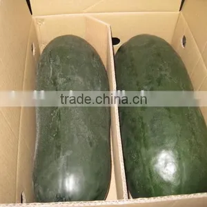 Chinese Fresh Winter Melon Fresh Wax Gourd Export thumbnail-1