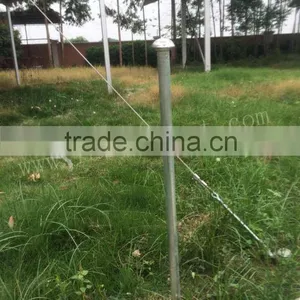 White Star Shape Tent for Garden or Park Sehlter Shade Use thumbnail-5