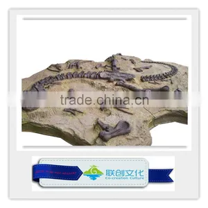 High Quality Original Size Dinosaur Fossil thumbnail-2