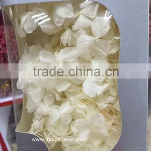 Top Quality Flower Export Preserved Flower Colorful Wholesale Artificial Hydrangea Flowers thumbnail-3