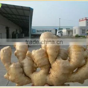 Fresh Ginger Price Price thumbnail-1