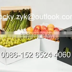 Corrugated PP Orange Package Box Packing Carton for Orange thumbnail-4