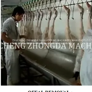 DUCK SLAUGHTER AND ABATTOIR MACHINE thumbnail-1