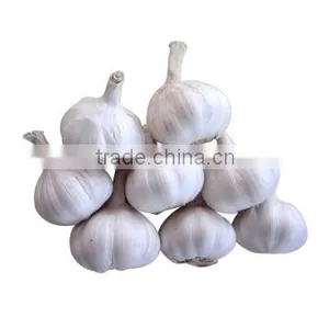 Supply New Crop2016 Fresh China Garlic Size From 4.5cm To6.0cm thumbnail-6