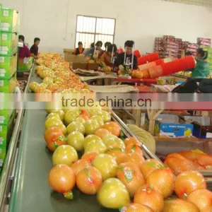 Chinese Fresh Pomelo Fujian Pomelo Sweet Pomelo thumbnail-4
